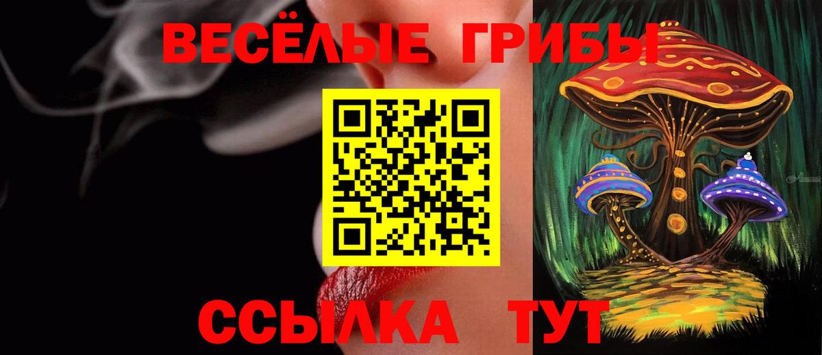 Псилоцибиновые грибы ЛСД Магадан